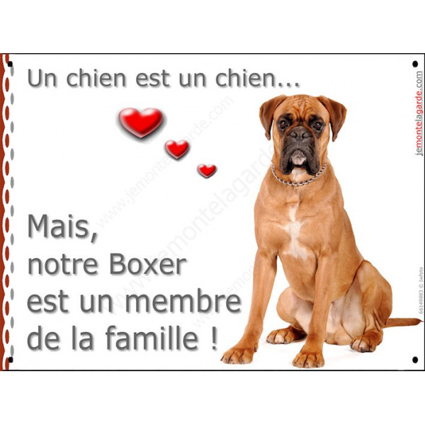 Boxer Fauve assis, plaque Attention, un chien est un chien, membre de la famille affiche panneau pancarte