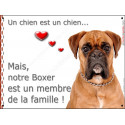 Boxer Fauve, plaque "Membre de la Famille" 24 cm LOV
