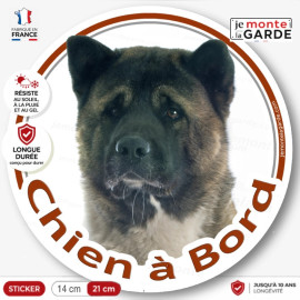 Akita américain bringé et blanc Tête, sticker rond voiture "Chien à Bord" Disque photo autocollant, résiste dehors