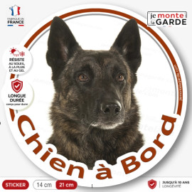 Berger Hollandais bringé poils courts, sticker autocollant rond "Chien à Bord" Disque photo adhésif voiture auto, résiste dehors