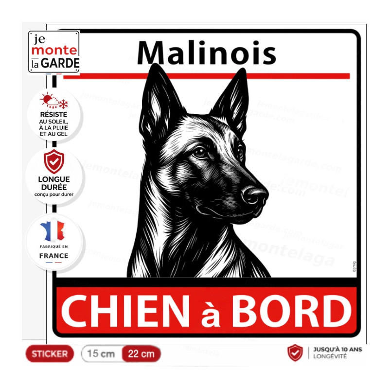 Sticker "Chien à Bord" avec Malinois en dessin noir et blanc, oreilles dressées, conçu pour voiture et résistant à l'extérieur.