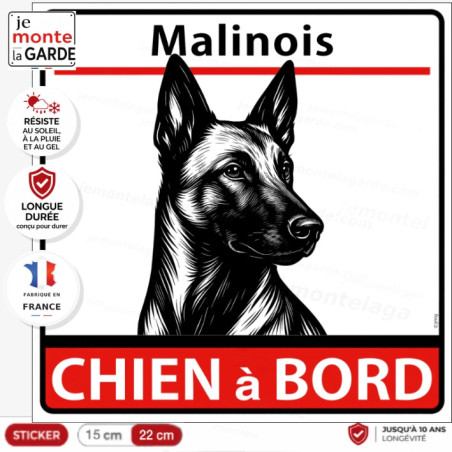 Sticker voiture Malinois dessin noir et blanc "Chien à Bord" 2 Tailles