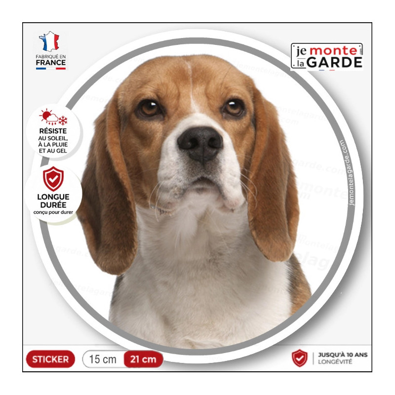 Sticker rond Beagle tricolore photo de face et bonne bouille, sans texte, pour voiture, caisse de transport... résiste dehors