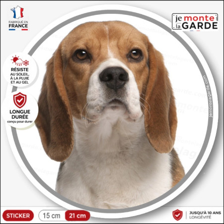Sticker photo Beagle tricolore rond sans texte | 2 Tailles