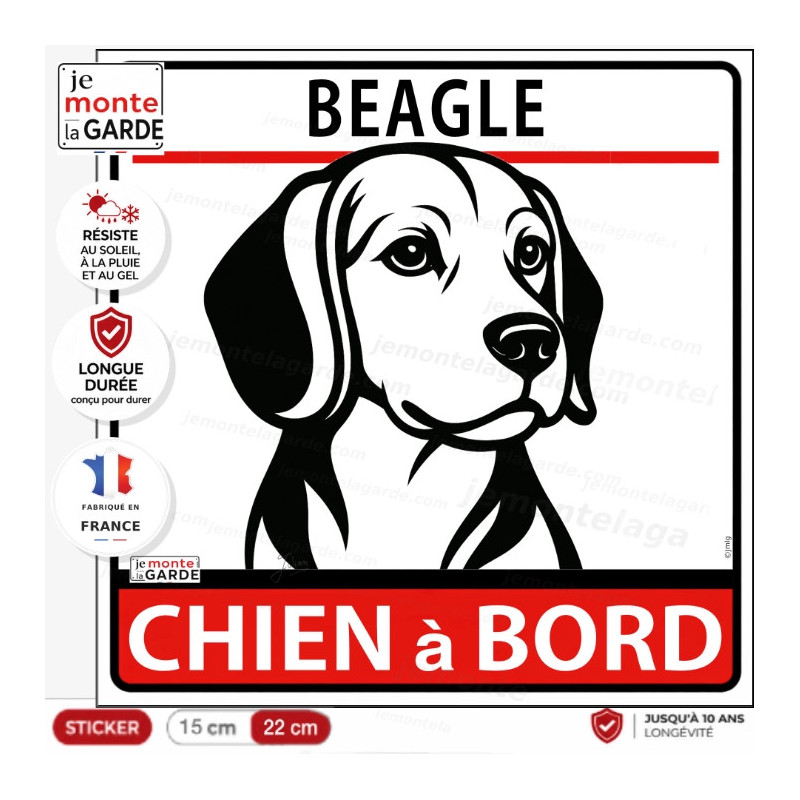 Sticker "Chien à Bord" Beagle en dessin noir et blanc, très graphique et contrasté, conçu pour rester lisible sur la voiture.