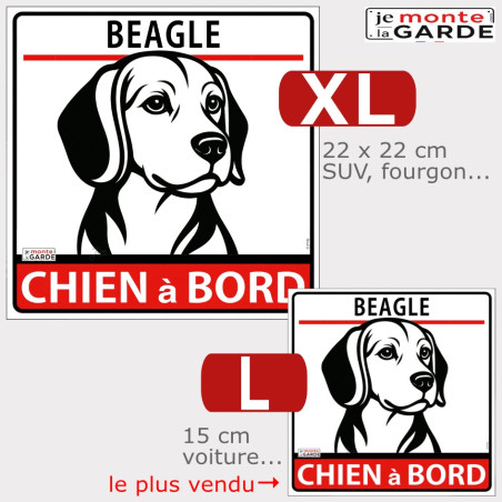 Sticker "Chien à Bord" Beagle en dessin, conçu pour rester lisible sur la voiture. Comparaison des tailles disponibles en photo