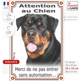 Pancarte verticale "Attention au Chien" avec Rottweiler massif en buste, cou puissant, tête inclinée et regard direct.