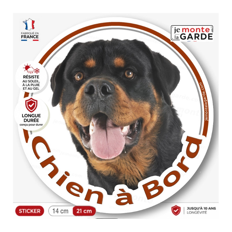 Sticker rond "Chien à Bord" avec Rottweiler au regard légèrement levé et à l'expression très ouverte et joyeuse.