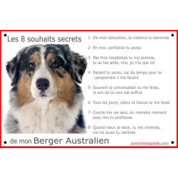 Aussie Bleu Merle tête, plaque "Les 8 Souhaits Secrets" 24 cm CDT