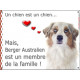 Berger Australien Blanc et Rouge Merle tête, plaque Attention, un chien est un chien, affiche panneau pancarte membre de famille