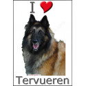 "I love Tervueren" Sticker photo 4 tailles, 4 possibilités !