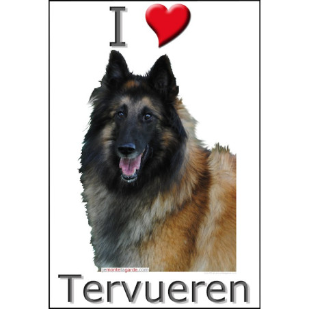 "I love Tervueren" Sticker photo 2 tailles, 4 possibilités ! "I love Tervueren" Sticker photo 2 tailles, 4 possibilités !