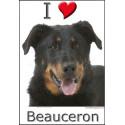 "I love Beauceron" Sticker photo 3 tailles, 4 possibilités !