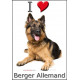 Sticker autocollant, Berger Allemand poils longs couché, 4 tailles, 4 possibilités ! 
