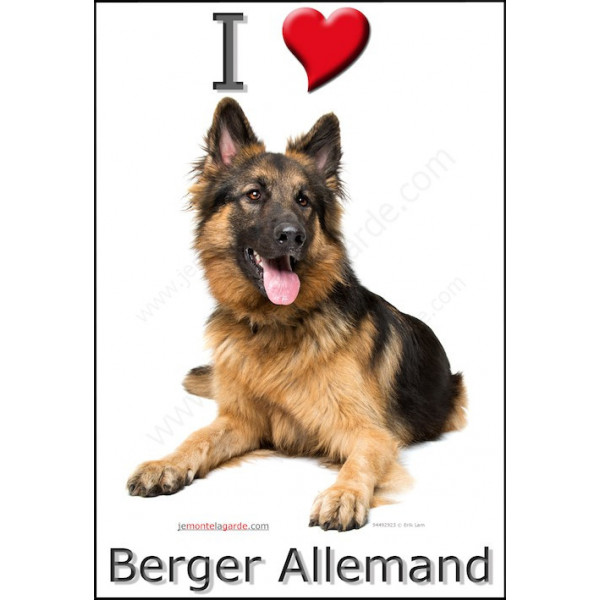 Sticker autocollant, Berger Allemand poils longs couché, 4 tailles, 4 possibilités ! 