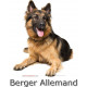 Sticker autocollant, Berger Allemand poils longs couché, 4 tailles, 4 possibilités ! Photo + race
