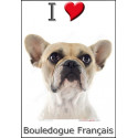 "I love Bouledogue Français" Sticker photo 4 tailles, 4 possibilités !