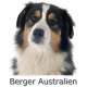 Sticker autocollant, Berger Australien Tricolore Noir Tête, 4 tailles, 4 possibilités ! Photo + nom