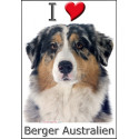 "I love Berger Australien" Sticker photo 4 tailles, 4 possibilités !
