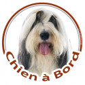 Bearded Collie, sticker "Chien à Bord" 15 cm - 3 ans