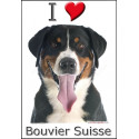 "I love Bouvier Suisse" Sticker photo 4 tailles, 4 possibilités !