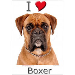 "I love Boxer" Sticker photo 4 tailles, 4 possibilités !