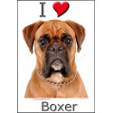 "I love Boxer" Sticker photo 4 tailles, 4 possibilités !