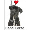 "I love Cane Corso" Sticker photo 4 tailles, 4 possibilités ! C
