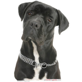 "I love Cane Corso" Sticker photo 16 cm C