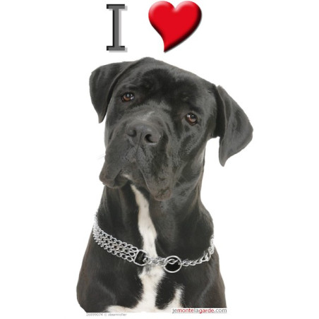 "I love Cane Corso" Sticker photo 16 cm C "I love Cane Corso" Sticker photo 16 cm C