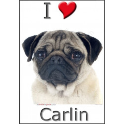 "I love Carlin" Sticker photo 3 tailles, 4 possibilités ! C