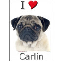 "I love Carlin" Sticker photo 3 tailles, 4 possibilités ! C