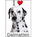 "I love Dalmatien" sticker photo 4 tailles, 4 possibilités !