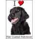 Sticker autocollant, Flat-Coated Retriever Tête, 4 tailles, 4 possibilités !