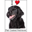 "I love Flat-Coated Retriever" Sticker photo 3 tailles, 4 possibilités !