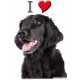 Sticker autocollant, Flat-Coated Retriever Tête, 4 tailles, 4 possibilités ! Photo chien + I love