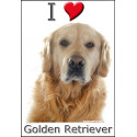 "I love Golden Retriever" Sticker photo 3 tailles, 4 possibilités !