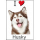 Sticker autocollant, Husky Marron Tête, 4 tailles, 4 possibilités !