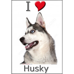 "I love Husky" Sticker photo 4 tailles, 4 possibilités !