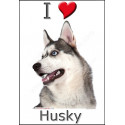 "I love Husky" Sticker photo 4 tailles, 4 possibilités !