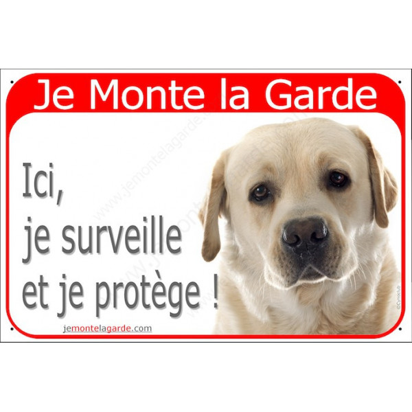 Labrador Sable, Plaque Je Monte la Garde, surveille protège, pancarte, affiche jaune beige attention au chien panneau