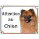 Spitz Fauve Tête, plaque portail "Attention au Chien" panneau affiche pancarte photo loulou poméramie marron orange