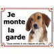 Beagle Harrier Tête, Plaque portail "Je Monte la Garde, risques périls" panneau affiche pancarte photo attention au chien