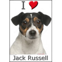 "I love Jack russell" Sticker photo 4 tailles, 4 possibilités !