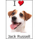 Sticker autocollant, Jack Russell Blanc et Fauve Tête, 4 tailles, 4 possibilités !
