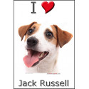 "I love Jack Russell" Sticker photo 4 tailles, 4 possibilités !