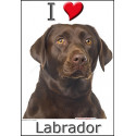 "I love Labrador" Sticker photo 3 tailles, 4 possibilités !