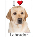 "I love Labrador" Sticker photo 4 tailles, 4 possibilités !