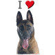 Sticker autocollant, Berger Belge Malinois Tête, 4 tailles, 4 possibilités ! Photo + I love