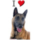 Sticker autocollant, Berger Belge Malinois Tête, 4 tailles, 4 possibilités ! Photo + I love